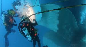 THE DIVING SERVICES FOR PLUGGING/UNPLUGGING THE EMERGENCY FIRE PUMP SUCTION OVERBOARD PIPR AT CAT LAI TERMINAL - HO CHI MINH PORT