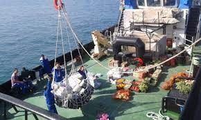 PROVISION STORE SUPPLY FOR THE VESSEL AT HON GAI ANCHORAGE